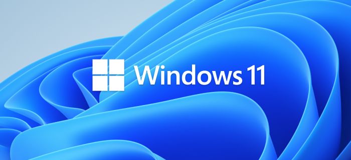 windows 11