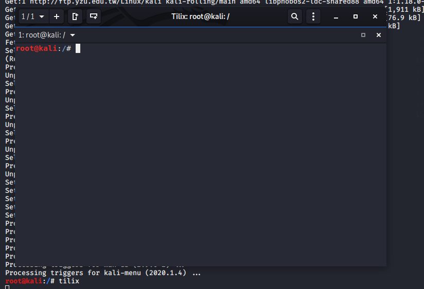 Введите tilix при появлении запроса на запуск