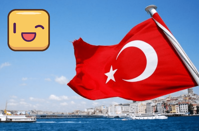 Турция, вывод денег с Payoneer