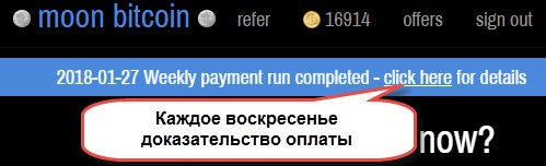 moonbit публикуется еженедельно новость