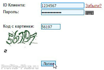 Войти в Perfect Money