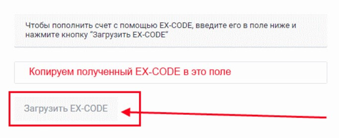 ввод эх кода