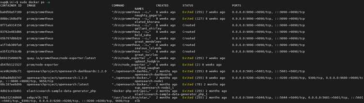 Преимущества использования Docker в разработке